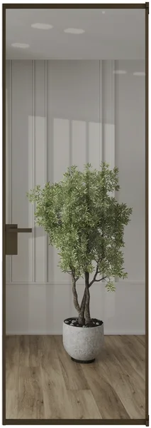 Алюминиевая дверь Profil Doors 1AT ЗЕРКАЛО